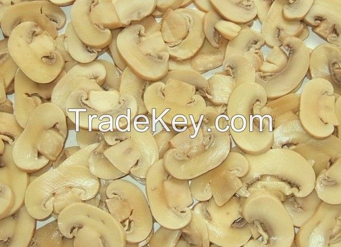 canned mushroom pns manufacturer from china for export