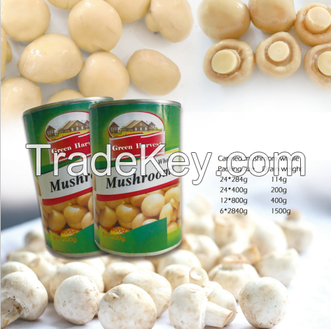 Canned Mushroom whole/piece/slice made in china reliable quality best price to middle east