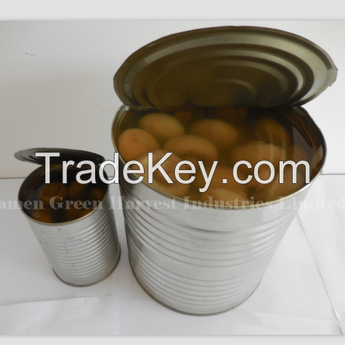 China canned mushroom high quality exporter supplier