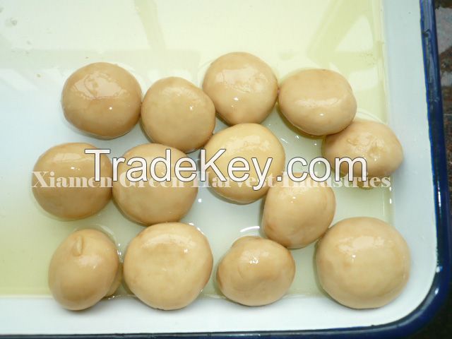 Canned Mushroom whole/piece/slice made in china reliable quality best price to middle east