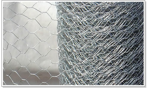 hexagonal wire mesh