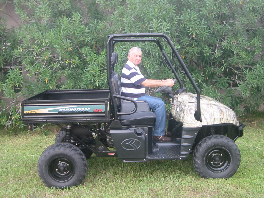 petrol utv 800cc 4x4 automatic cvt