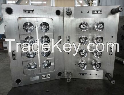 aerosol cap mould