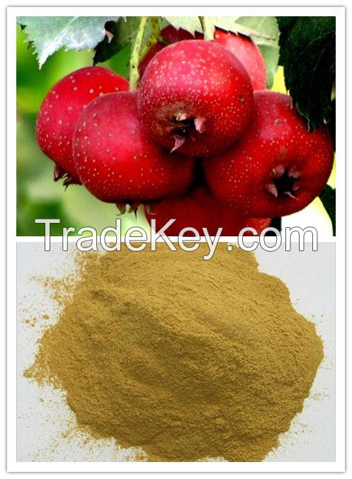 Hawthorn Fruit Extract 