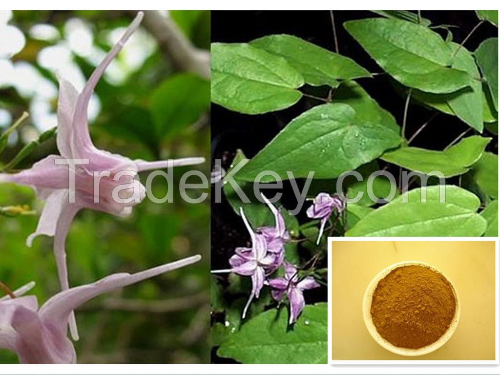 Epimedium Extract/Horny Goat Weed Extract