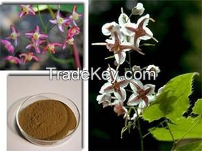 Horny Goat Weed Extract / Epimedium P.E High quality Epimedium P.E