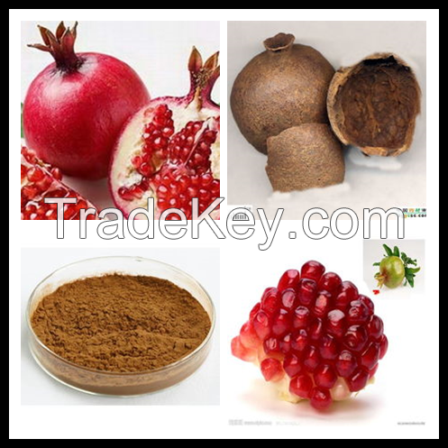 Anti-cancer Anti-cancer Pomegranate Peel Extract Powder,Pomegranate P.e,Pomegranate Extract
