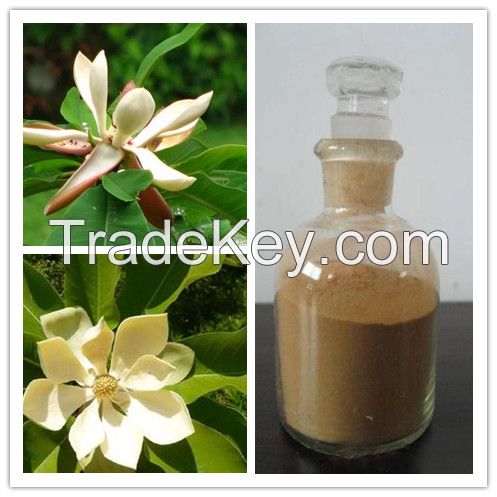  Magnolia officinalis P.E./Magnolia officinalis Rehd.et Wils. Extract