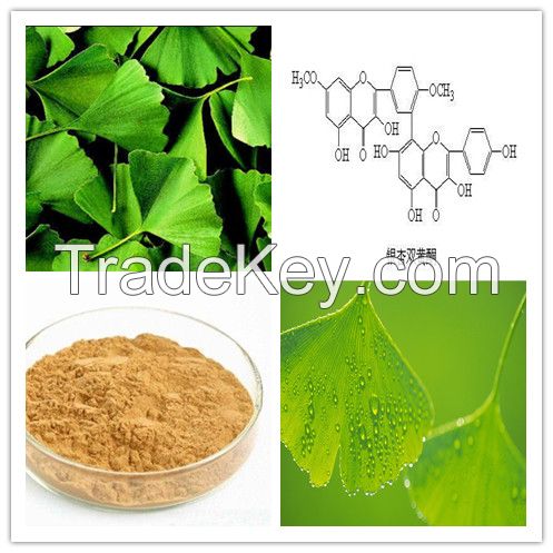 100% Natural Ginkgo Leaf Extract 24:6 