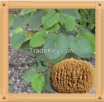 Natural Kava kava Extract/Kava extract/Kava root extract with Kavalactones