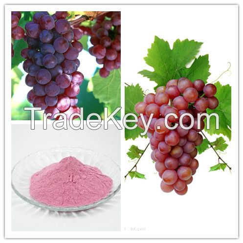 Healthy Artificial Fruit Powder Grape Fruit Powder 