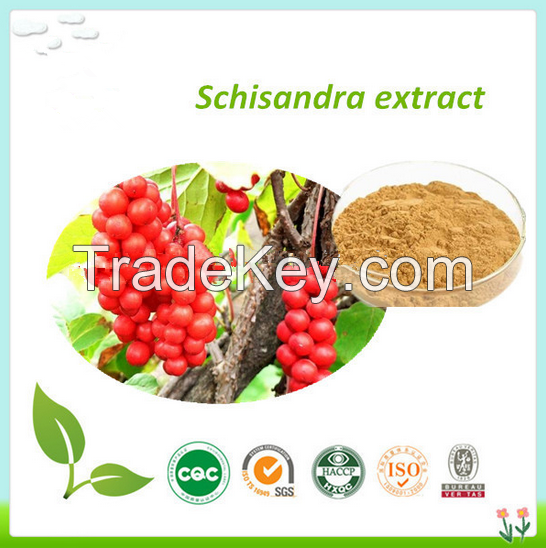 100% Natural fructus schisandra chinensis extract, Schisandrins 9%