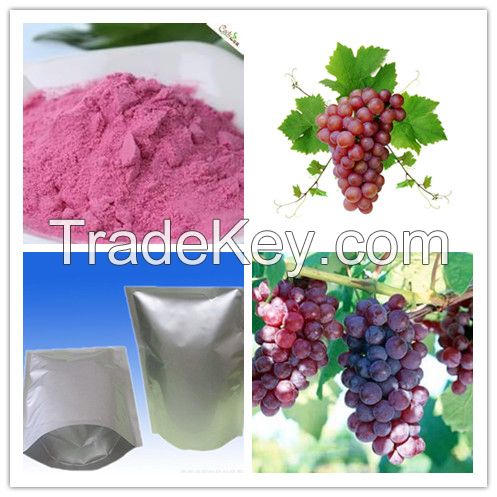 100% Natural Fruit Powder Grape Fruit Powder/Grape Extract Beverage Powder 