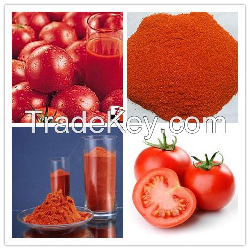 Dehydrated Tomato Powder 