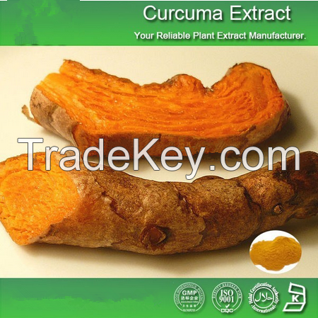 15%~95% Curcuminoids Curcumin Longa Extracts/Turmeric Curcumin Extract