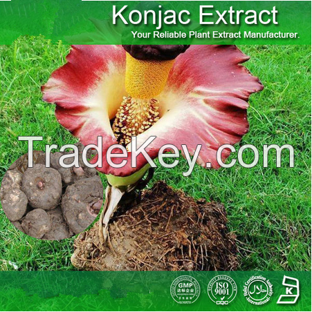 Fruit extract Nutramax Supply Pure Konjac Extract Powder Glucomannan 90% 95%