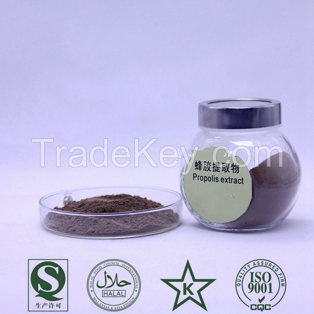 Supply 100% Natural Bee Propolis Extract/plant extract powder