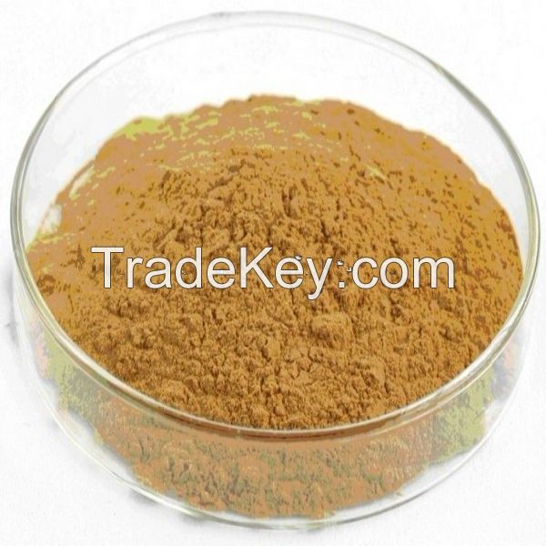 Supply Best Selling Artichoke Extract food additives