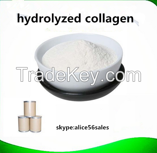 Women Skin whitening Hydrolyzed  fish collagan powder