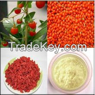  Goji Fruit Extract & Chinese wolfberry extract