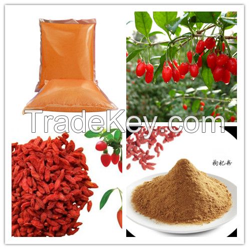 Factory offer Natural Goji Berry Extract , Goji Berry Powder 