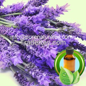 100% Pure Lavender Essential Oil