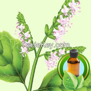 100% Pure Patchouli Essential Oil