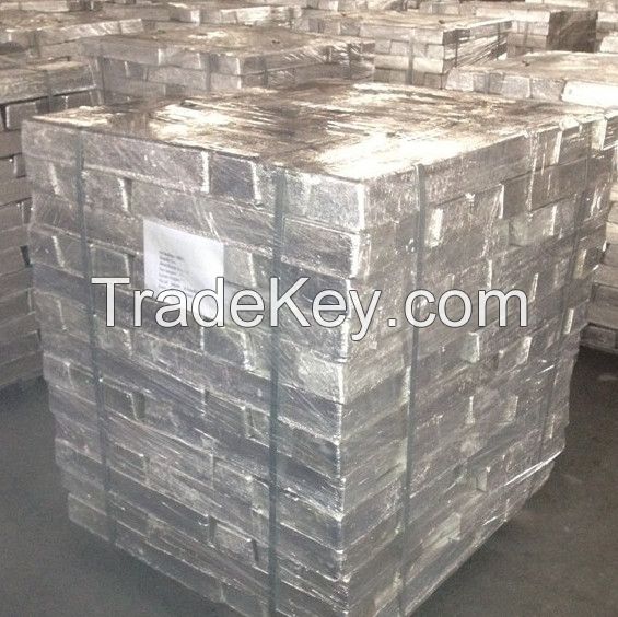 High Purity Magnesium Ingot 99.99 (GG)