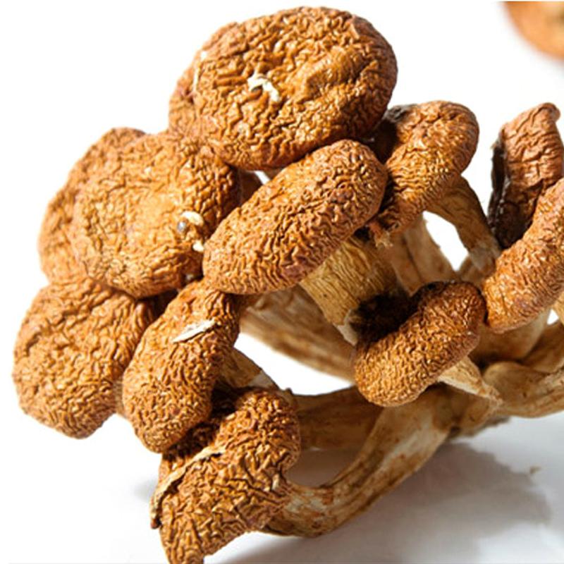 Dried Mushroom