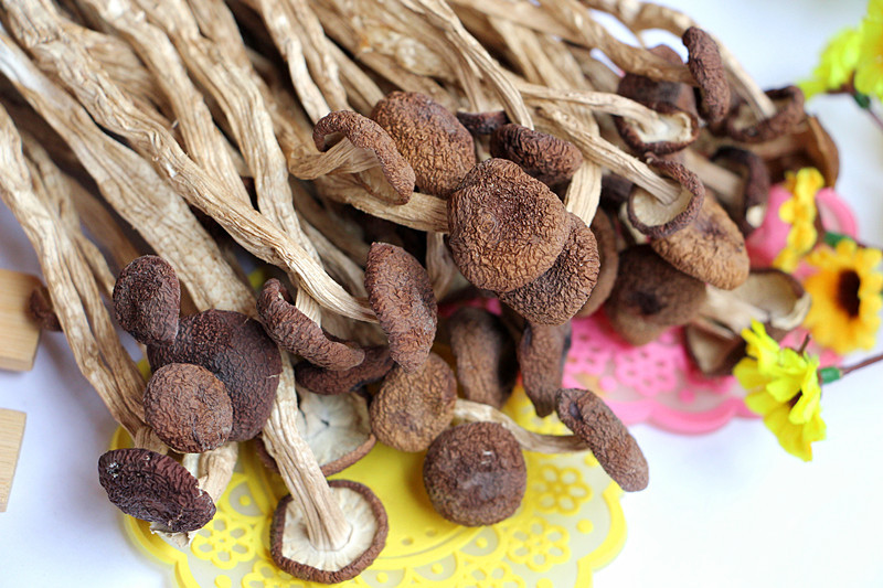 Dried Agrocybe Cylindracea