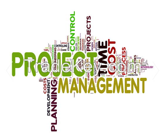 Project Management Services