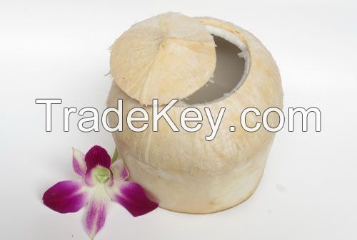 Fresh Young Coconut (Cylinder)