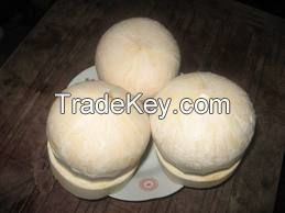 Fresh Young Coconut (Dome shape)