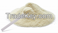 Goat milk powder