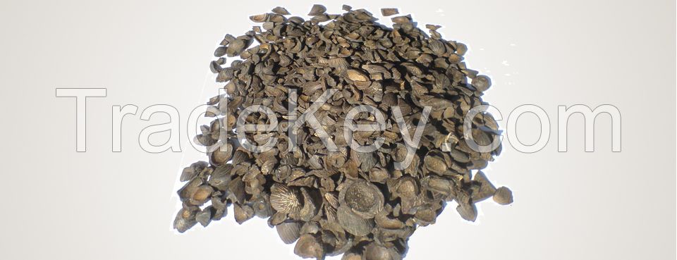 High Quality Palm Kernel Shell (PKS)