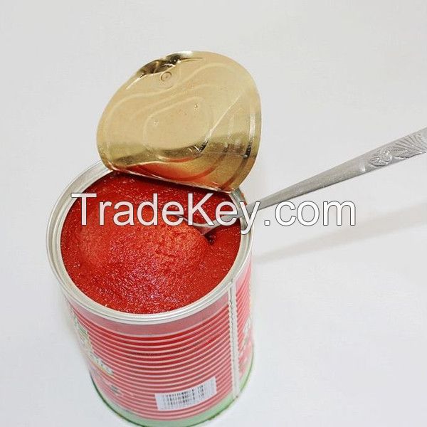 factory brix 28-20% 100% purity tomato paste