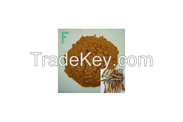 Nettle Root Extract