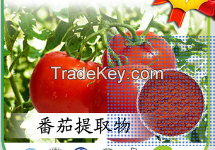 Tomato Extract