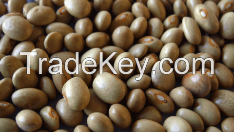 Cow Peas