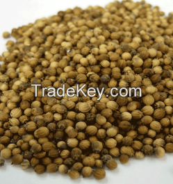 Coriander Seed