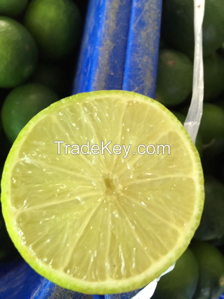 fresh lemon from vietnam (+841642828779)