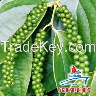 Vietnam Black pepper best quality (+84342828779)