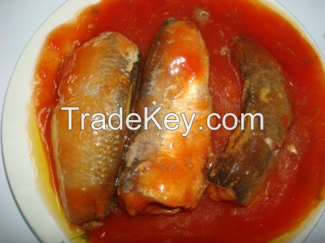 canned mackerel