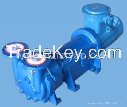 2BV6110  explosion proof water ring vacuum pump