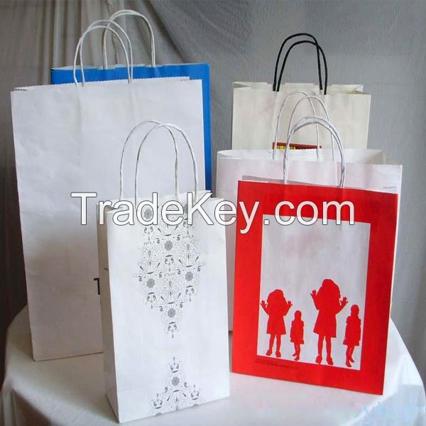 2015 Customizable Printed Paper Bags