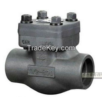 TANA Forged Swing Check Valve  