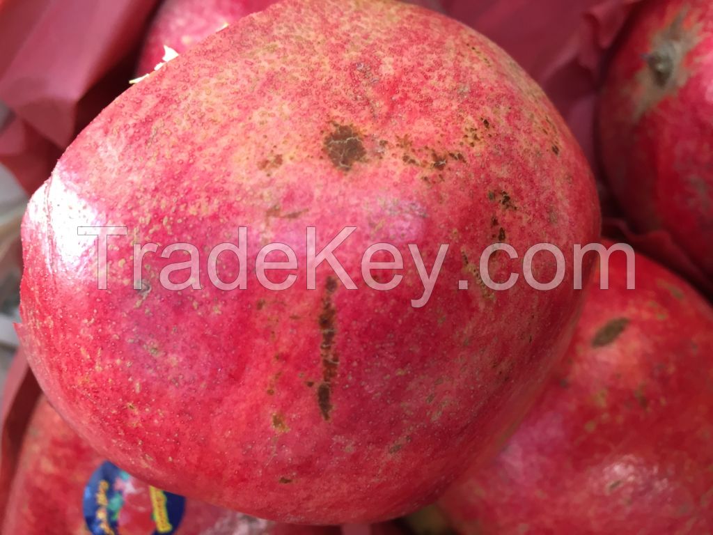 Egyptian Pomegranates