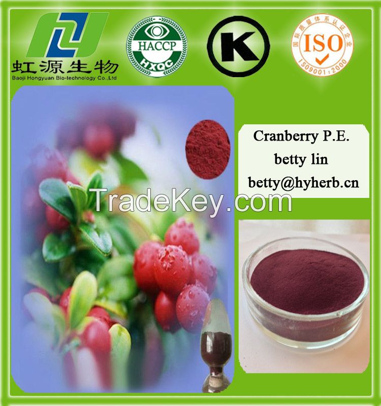 100% Natural Cranberry Extract Powder proanthocyanidins>25%