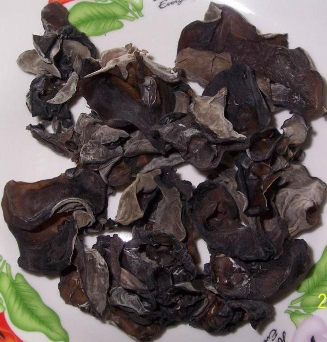 Jew's Ear/Jelly Ear/Black fungus (Auricularia auricula-judae) from vietnam