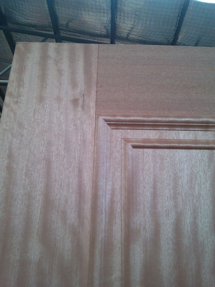 new design hdf moulded door skin